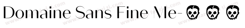 Domaine Sans Fine Me字体转换